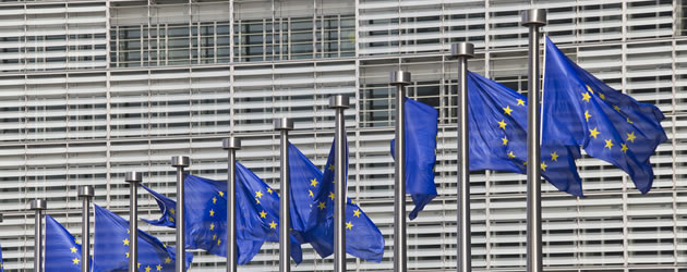 european-union-flags-2